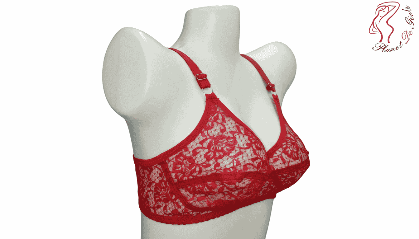 Red Lace Bra Image 2