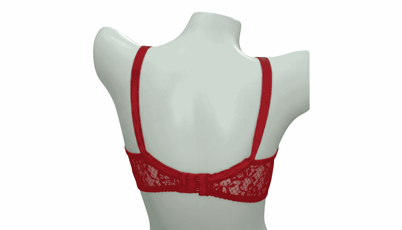 Red Lace Bra Image 3